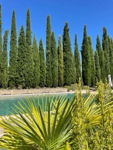 B&B Petite Maison Le Jardin Vaison-la-Romaine Exteriér fotografie